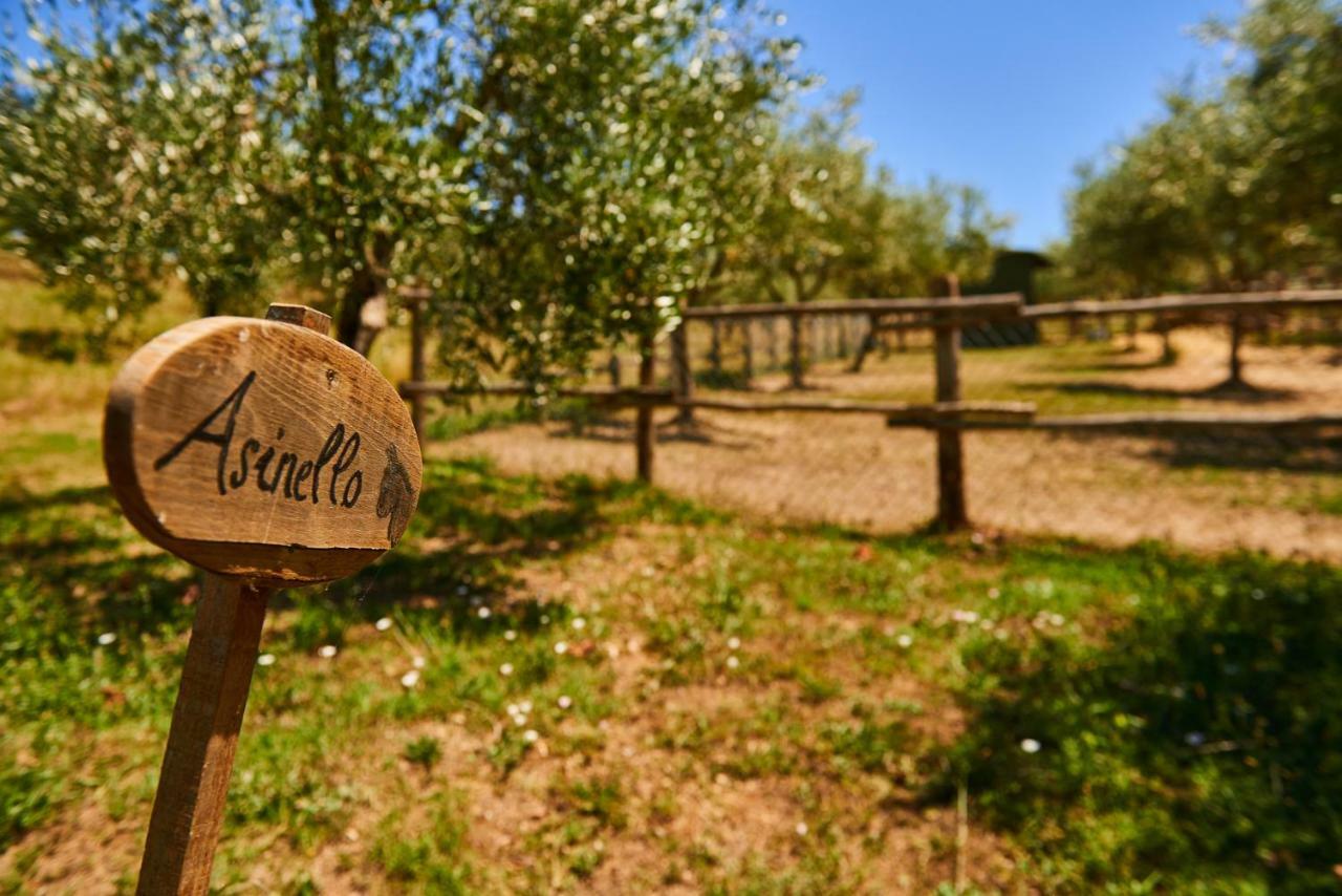 Casale Di Valle Vinci Exterior foto