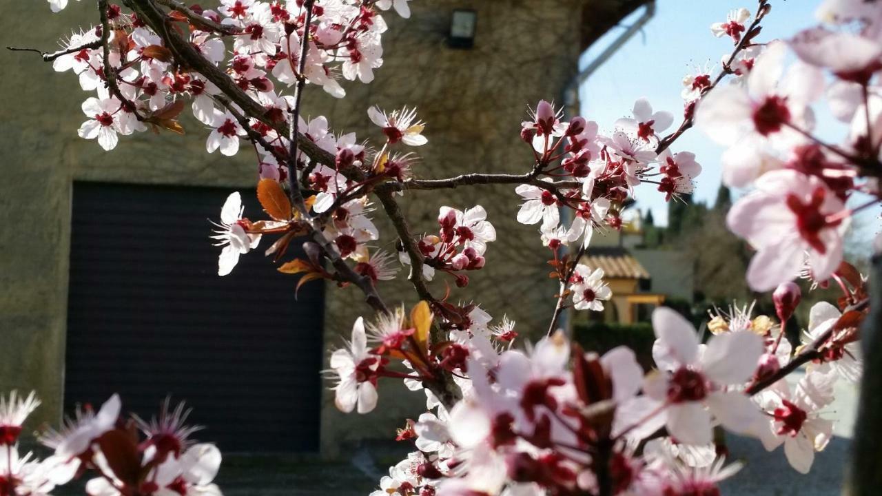 Casale Di Valle Vinci Exterior foto
